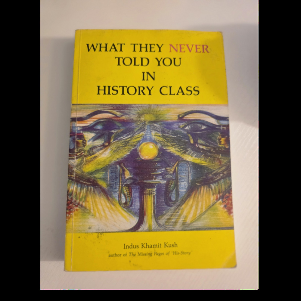 What They Never Told You in History Class Indus Khamit Kush Paperback